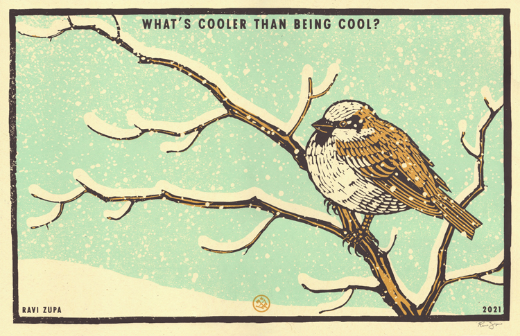 What's Cooler
